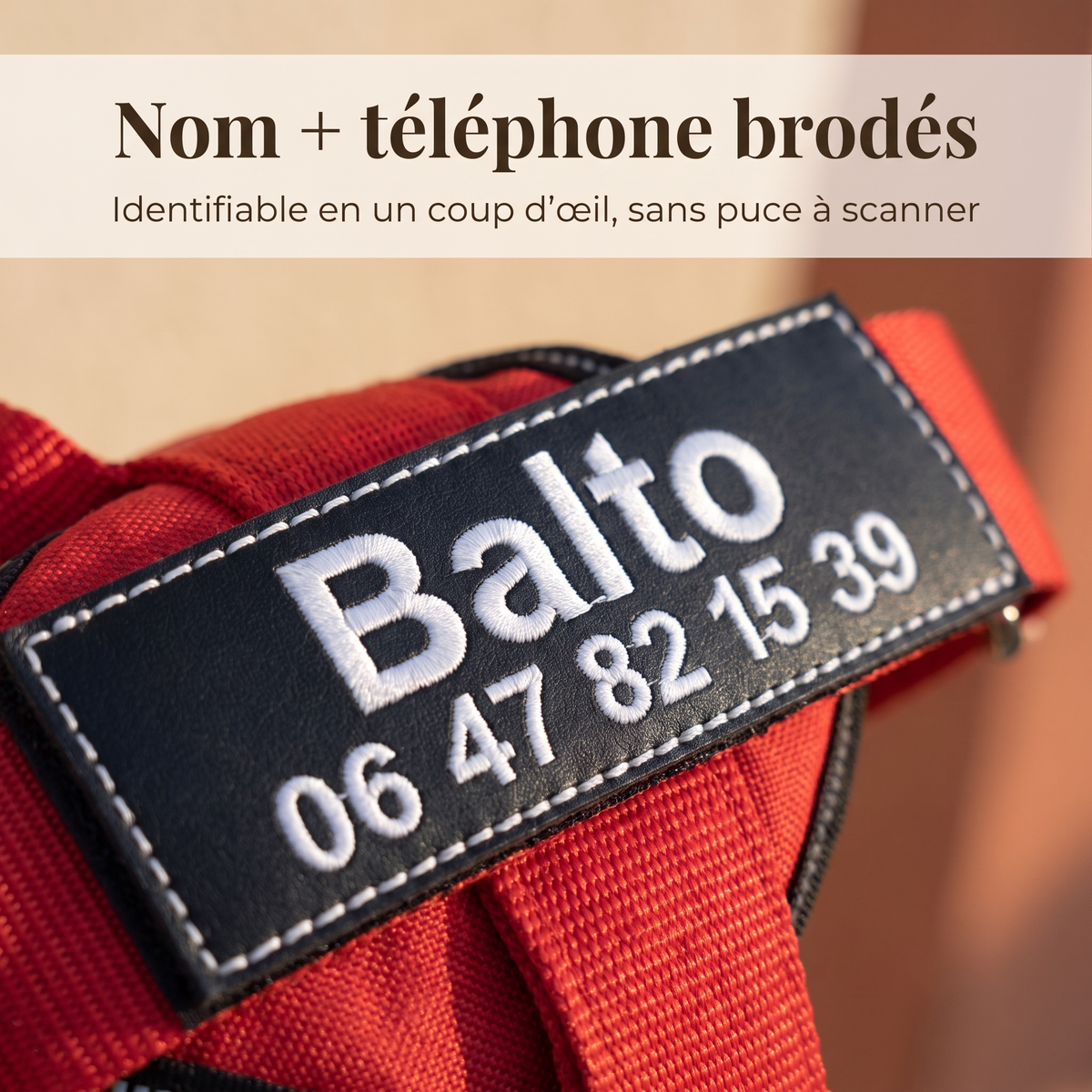 Gros plan sur la plaque brodée avec le nom du chien et le numéro de téléphone